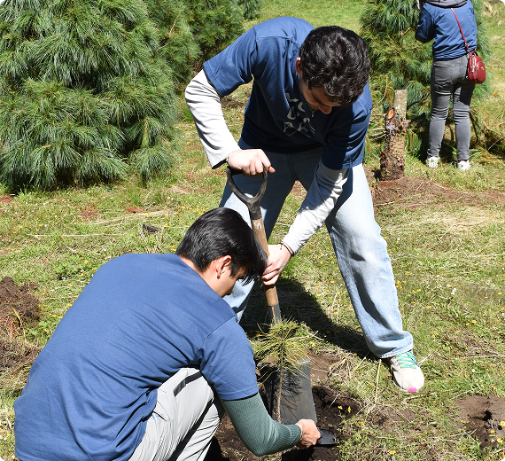 objetivo mantenimiento historias