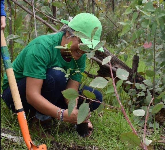 objetivo reforestamos historias