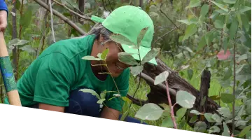 Card 4 - Reforestación Profuturo